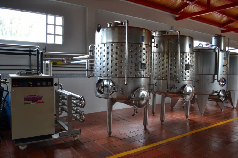 cave-LIEUCHE-min_wine_production_cantine_winery_drink_alcohol_vine_beverage-902036